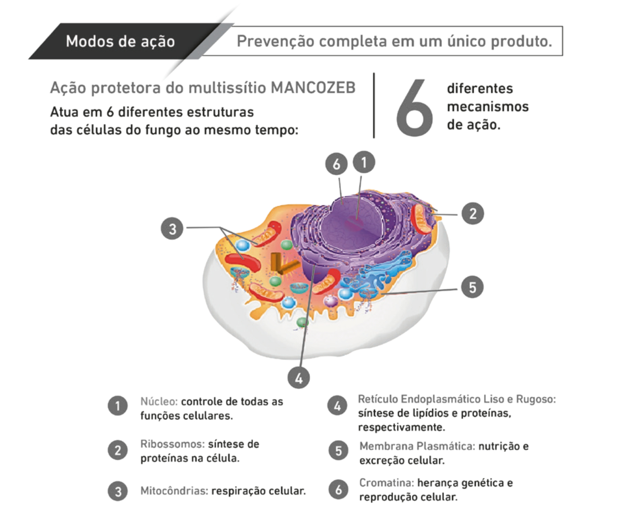 Modos de ação https://br.uplcorp.com/product_sections/1642099844_a2f581_tabela1-1-1536x1244-1.jpg